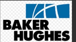 WhatsApp Image 2024-12-24 at 11.34.18 AM (1)