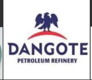 WhatsApp Image 2024-12-24 at 11.34.18 AM (2)