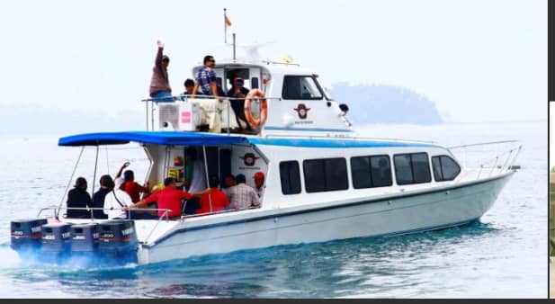 WhatsApp Image 2024-12-24 at 11.34.19 AM (2)